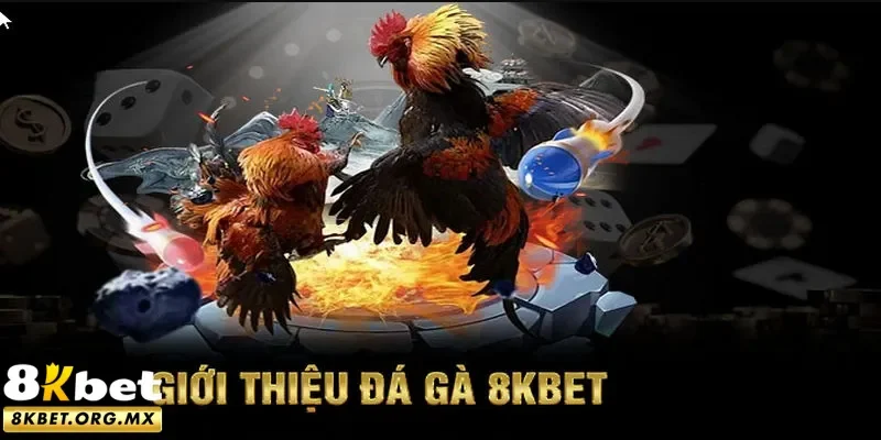 Hiểu thêm về chọi kê 8Kbet online
