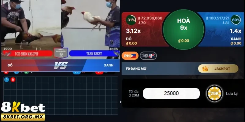 Lựa chọn xuống tiền đầu tư tại Thomo