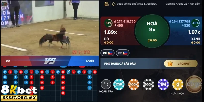 Những trận đấu gà cân tài cân sức