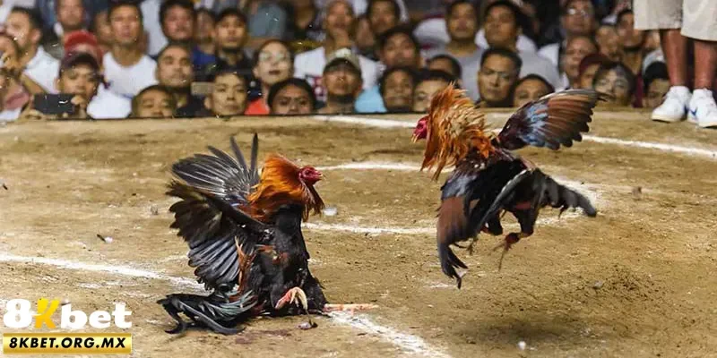 Quy ước thời gian thi đấu tại sới