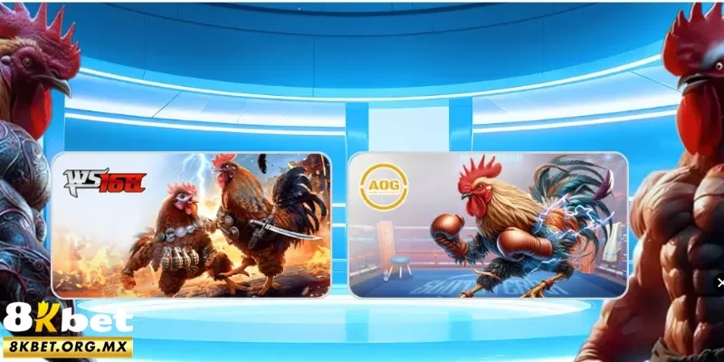 Top lý do vì sao nên chọn 8Kbet