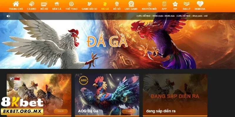 Ưu điểm vượt trội của trang đá gà 8Kbet